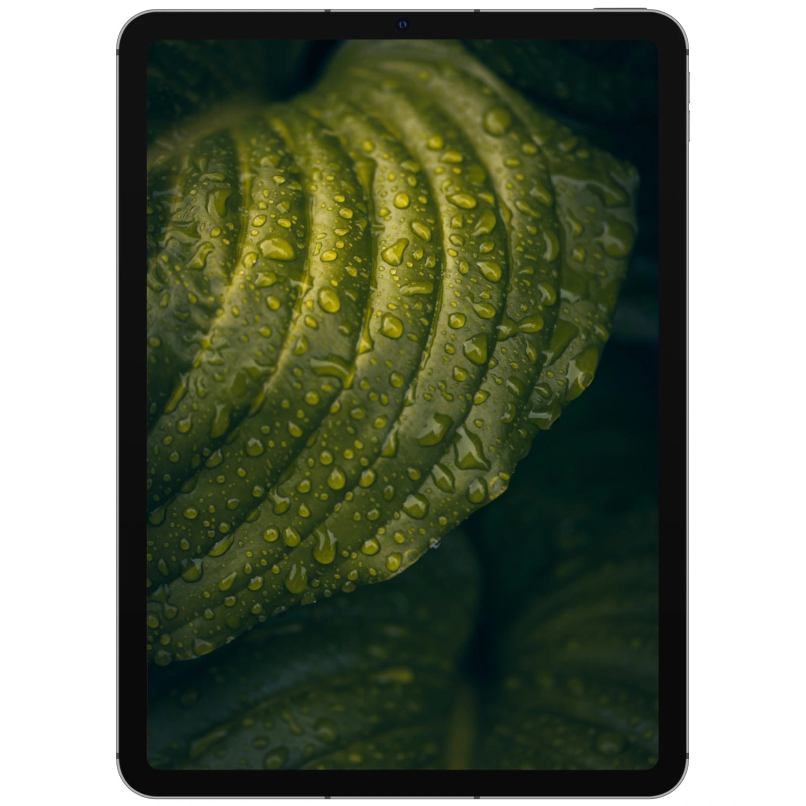 iPad Air (10,9", 5. Gen, 2022) Wi-Fi - NIFTY1