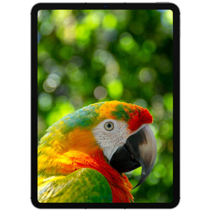 iPad Pro (11", 4. Gen, 2022) Wi-Fi - NIFTY1