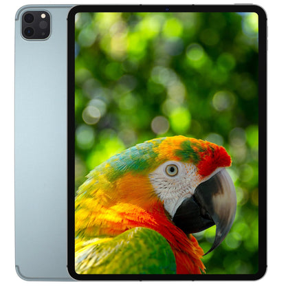 iPad Pro (11", 4. Gen, 2022) Wi-Fi - NIFTY1