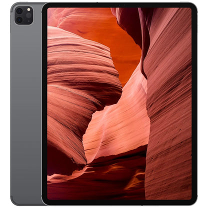 iPad Pro (12,9", 5. Gen, 2021) Wi-Fi - NIFTY1