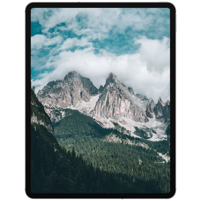 iPad Pro (12,9", 6. Gen, 2022) Wi-Fi - NIFTY1