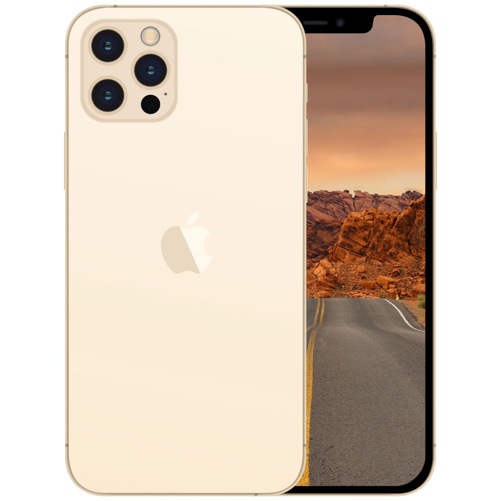 iPhone 12 Pro - NIFTY1