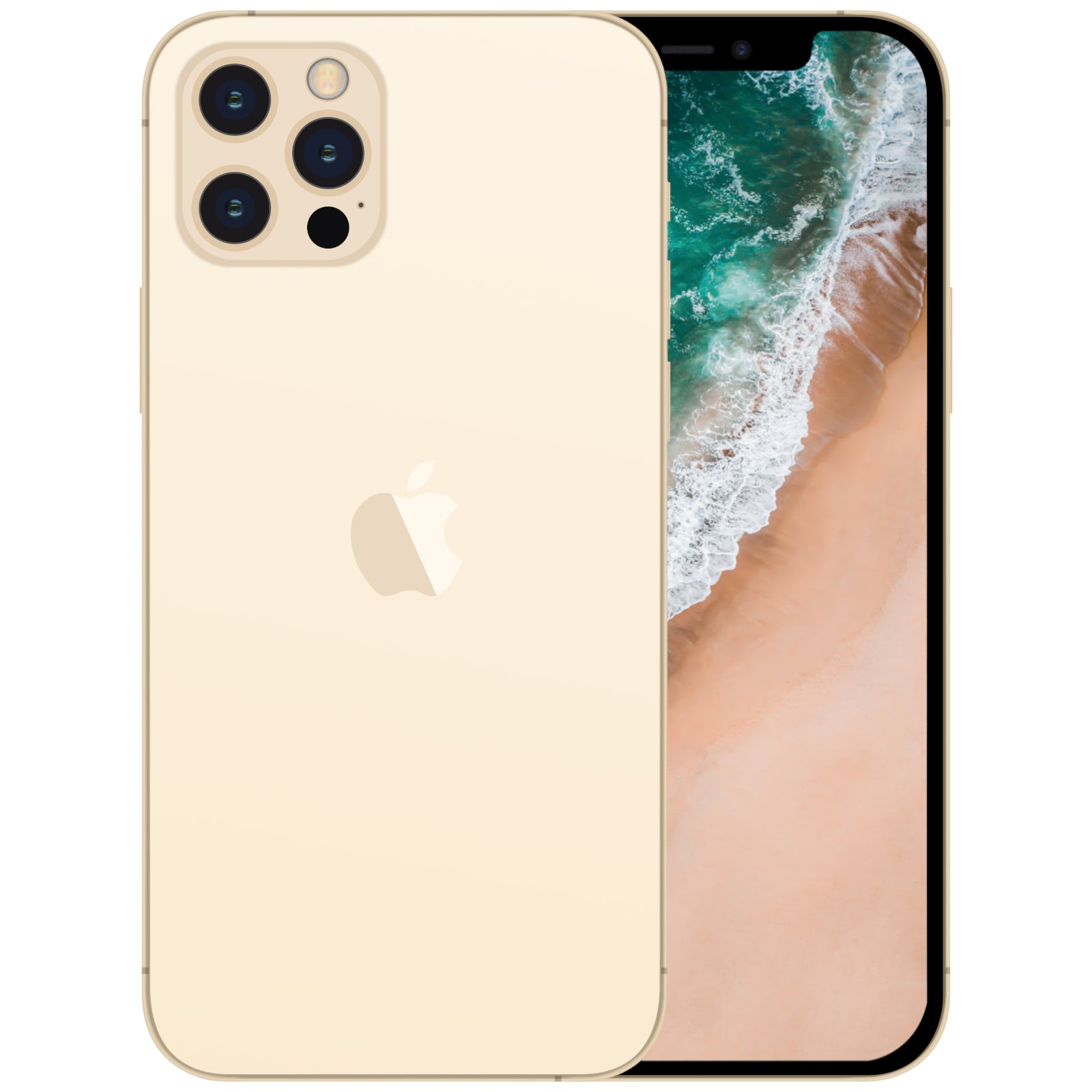 iPhone 12 Pro Max - NIFTY1