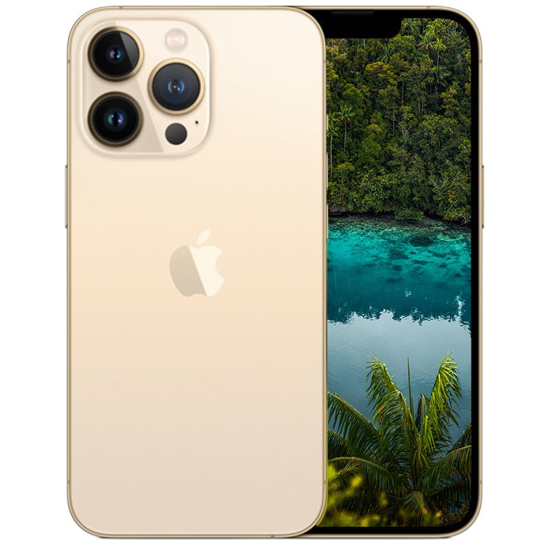 iPhone 13 Pro - NIFTY1