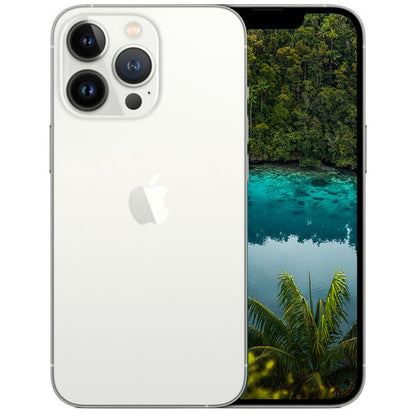 iPhone 13 Pro - NIFTY1