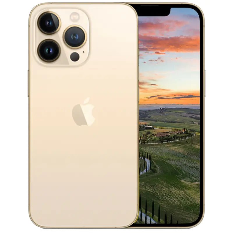 iPhone 13 Pro Max - NIFTY1