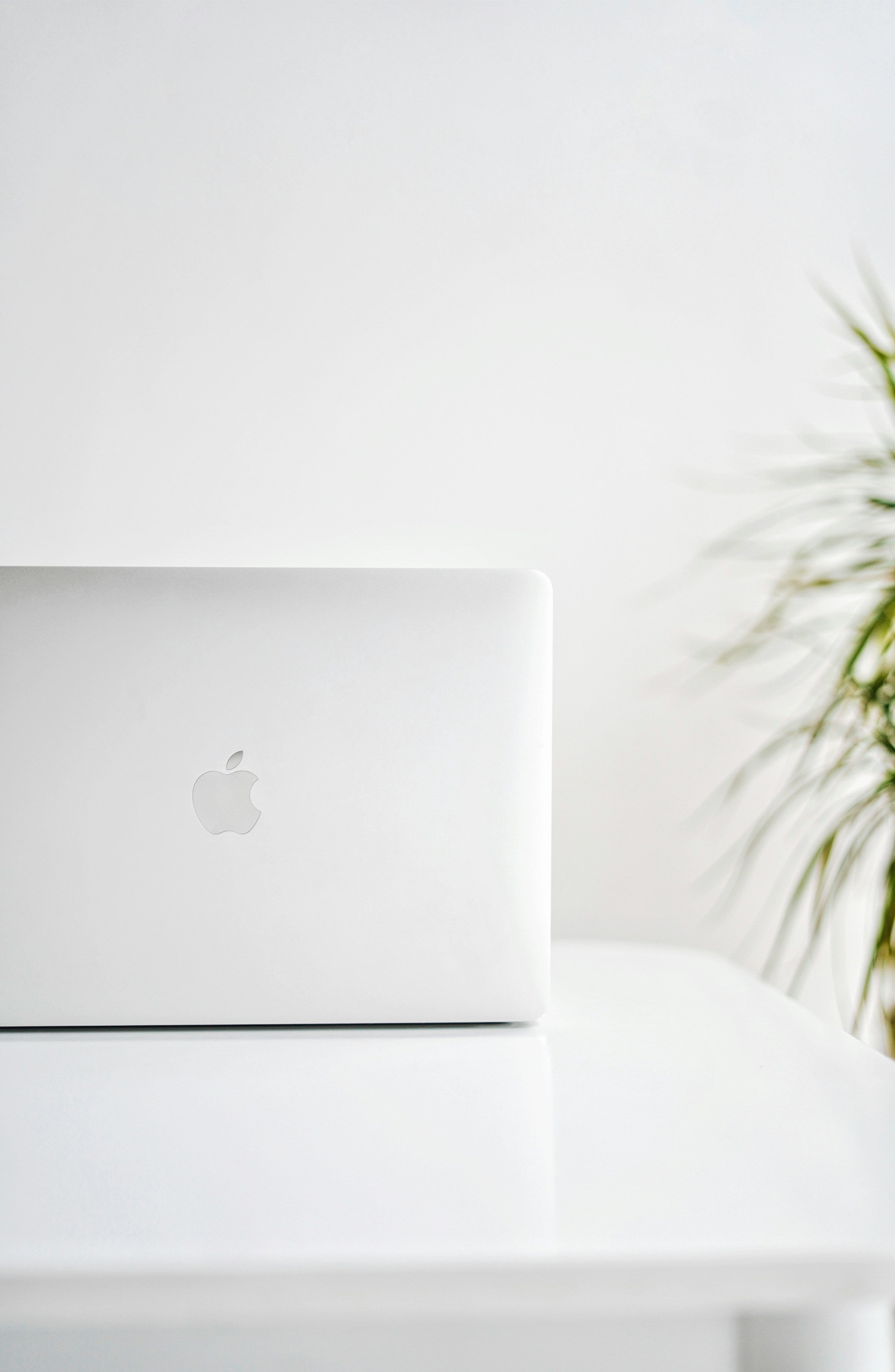 Link zu all unseren Notebooks - Hauptsächlich Apple - Nifty1